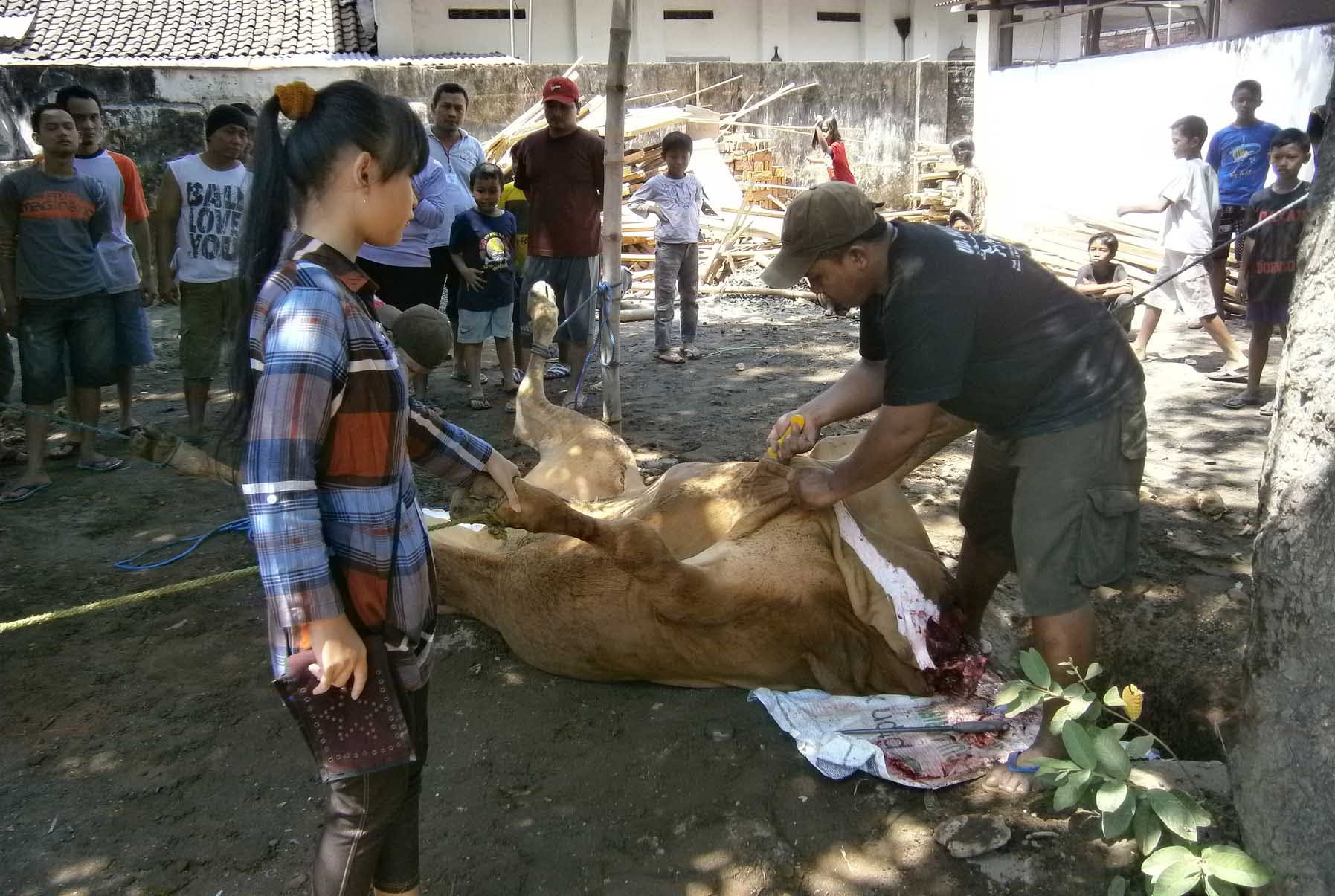 sembelih kambing