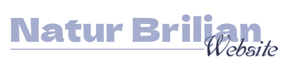 Natur Brilian Website